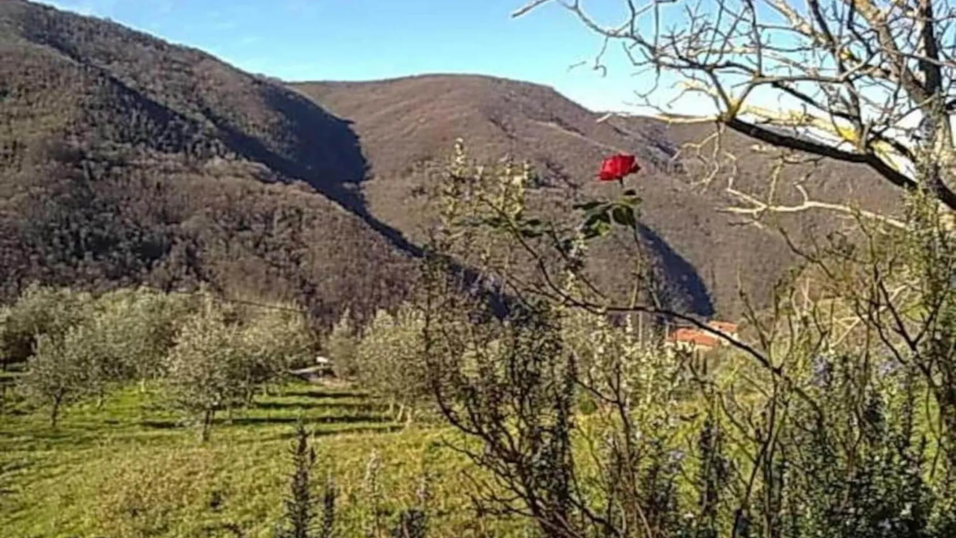 Belvilla By Oyo Canaiolo Poggio Alla Croce 0*,  إيطاليا